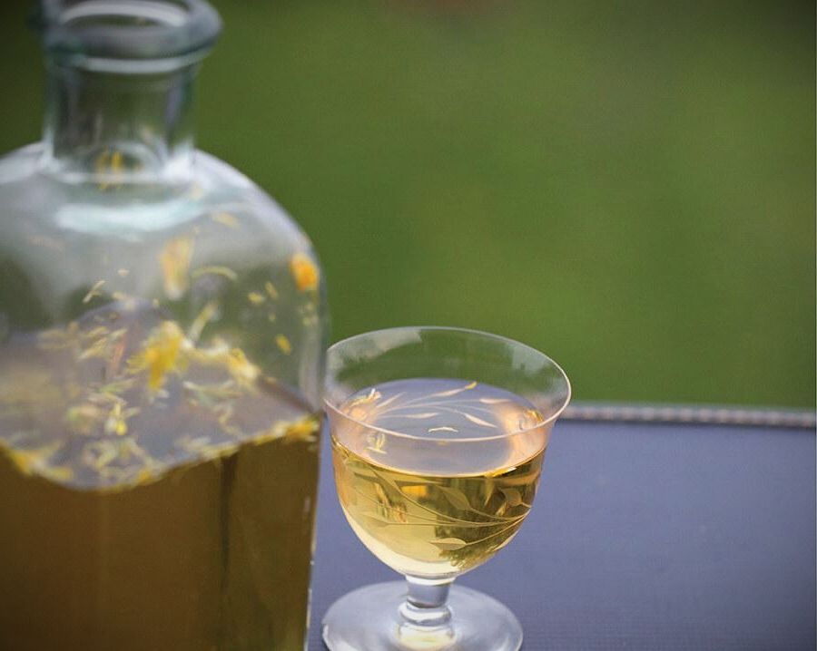 вино из одуванчиков рецепт приготовления