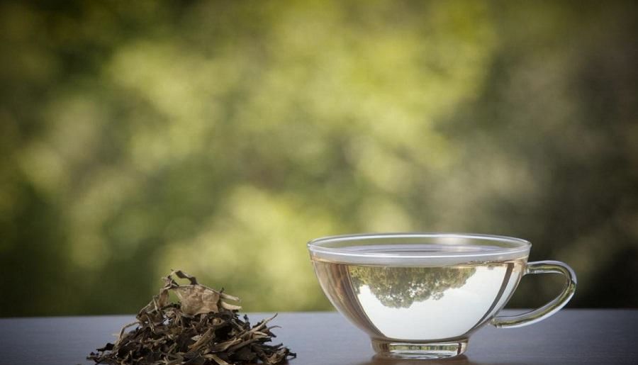 20+ видов чая и их польза для здоровья — открываем новые вкусы | 23
