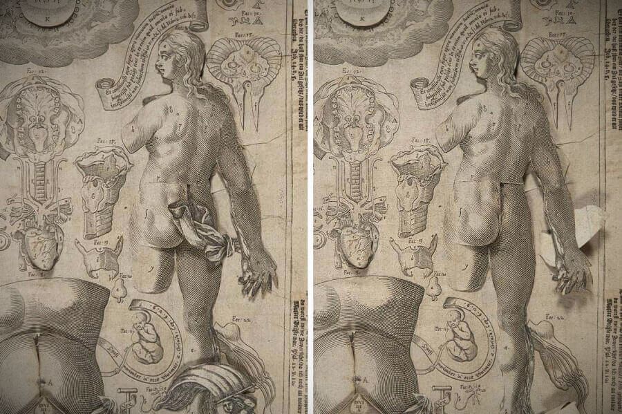 Анатомия старый атлас из 17 - го века | 4