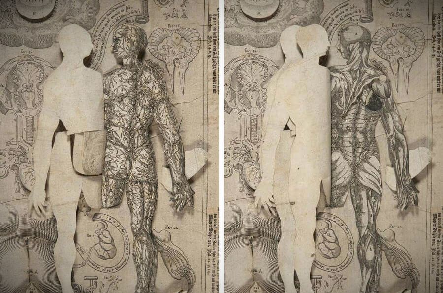 Анатомия старый атлас из 17 - го века | 6
